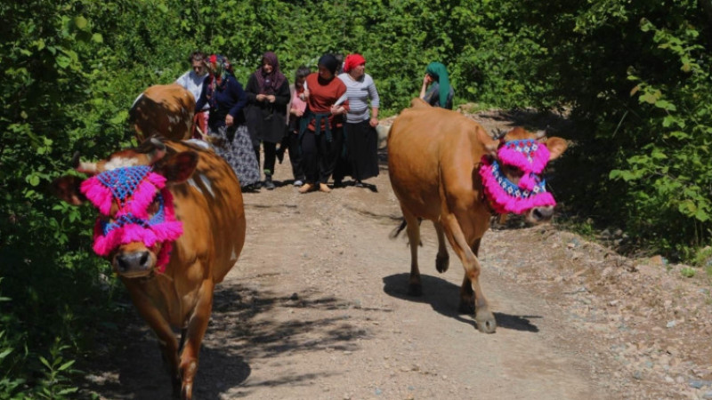Yayla göçleri renkli görüntüler oluşturuyor