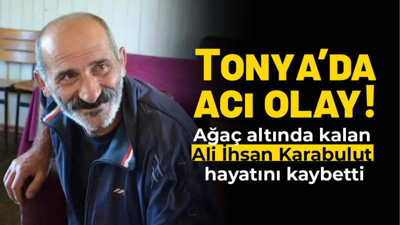 Tonya’da acı olay: Ağaç altında kalan Ali İhsan Karabulut hayatını kaybetti