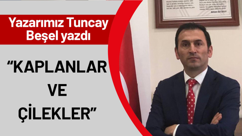 “Kaplanlar ve Çilekler”