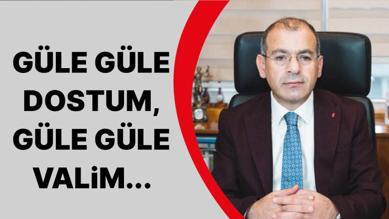 Güle Güle Dostum, Güle Güle Valim...